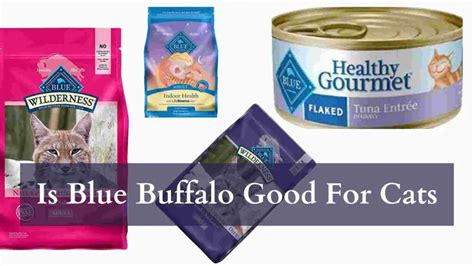 Is blue buffalo good for cats. Things To Know About Is blue buffalo good for cats. 
